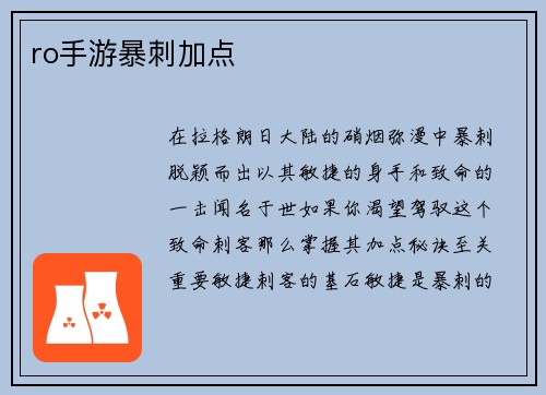 ro手游暴刺加点