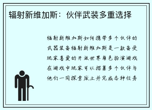 辐射新维加斯：伙伴武装多重选择